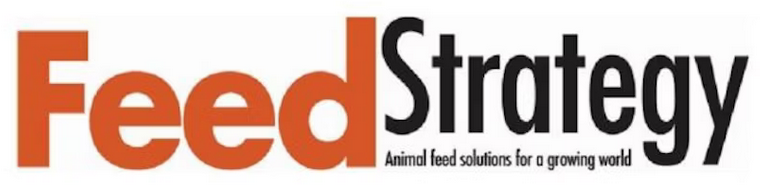 FEED-STRATEGY-logo