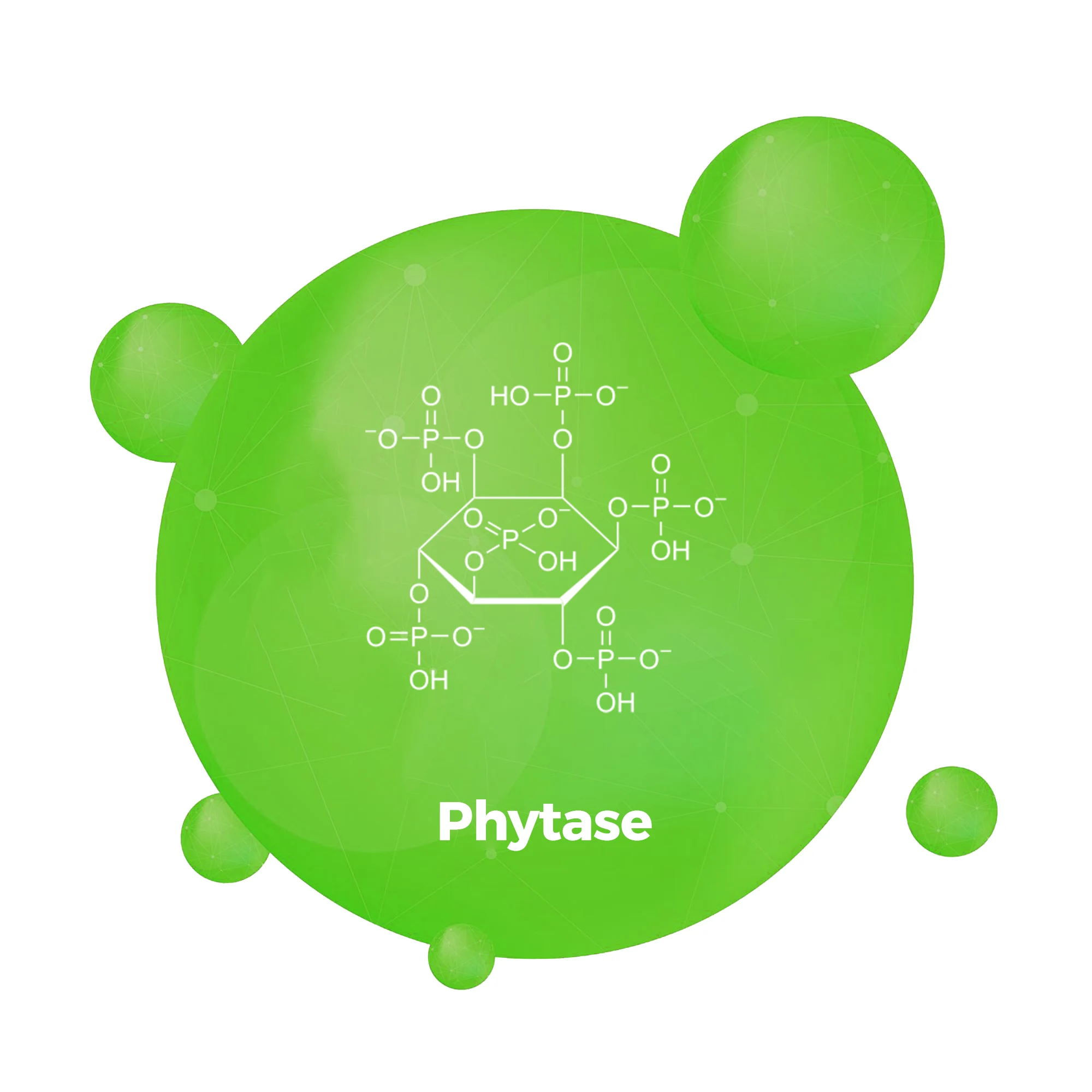 phytase 10000